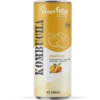 250ml Interfresh Kombucha Apricot 16 250ml Interfresh Kombucha Apricot