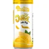320ml Interfresh Mango Juice with pulp