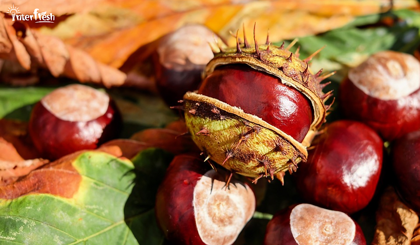 What Fruits Are in Season in Autumn 11 Characteristic Fruits of Fall