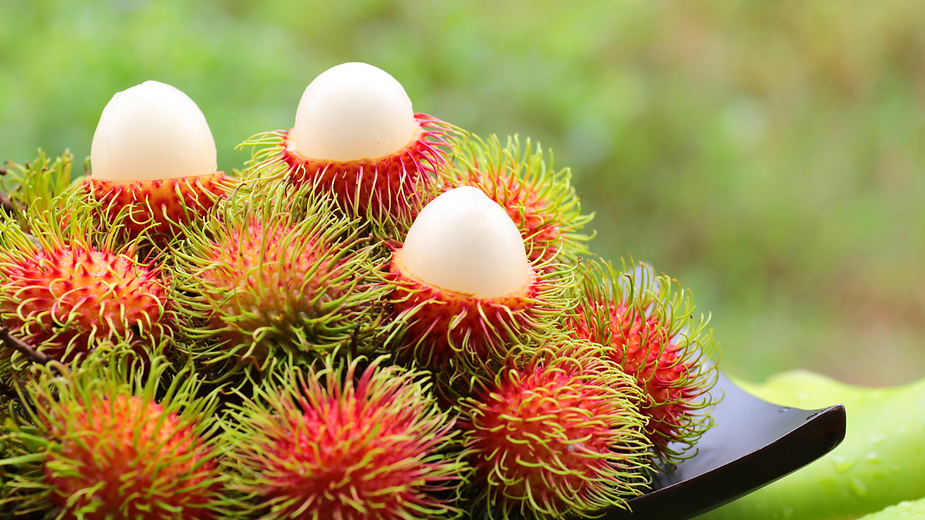 Chôm Chôm - Vietnamese Rambutan A Tropical Delight