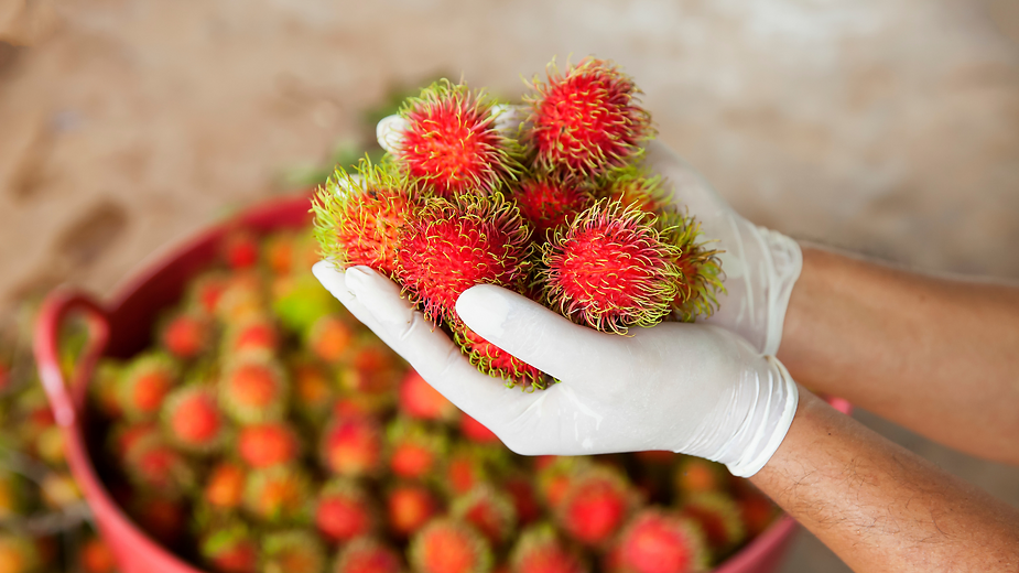 Chôm Chôm - Vietnamese Rambutan A Tropical Delight