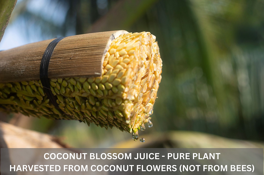 Coconut Blossom Juice