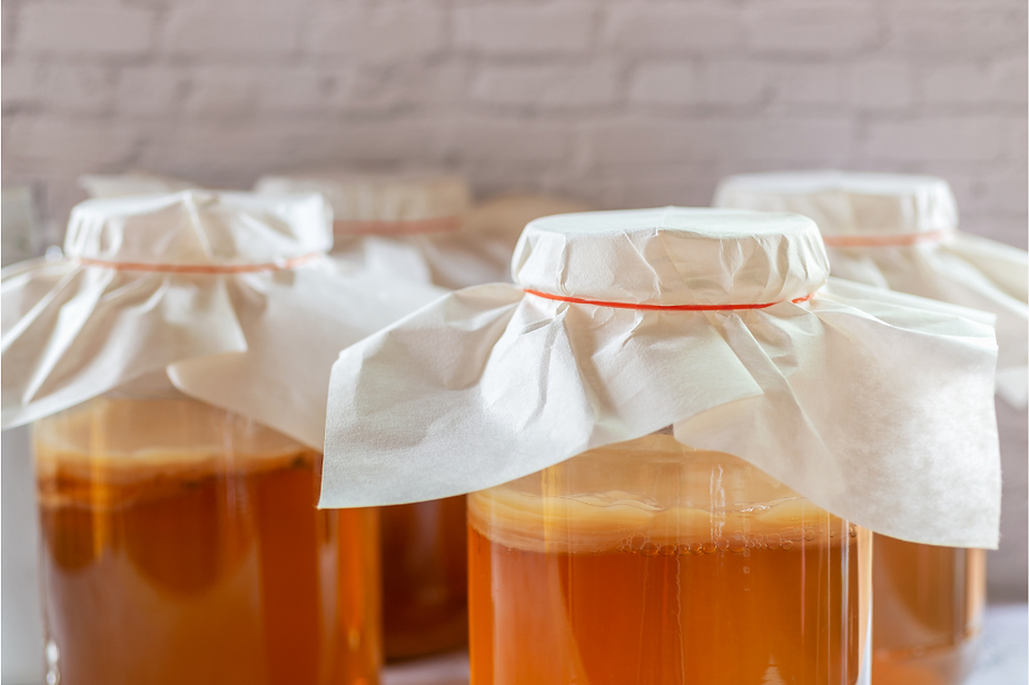 Crafting Manual SCOBY with Interfresh Your Essential Guide to DIY Kombucha Creation