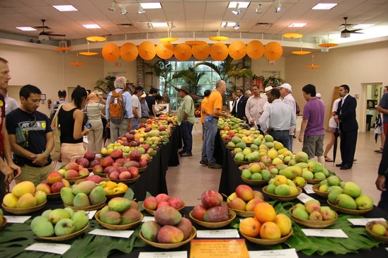 Jul 22 - National Mango Day