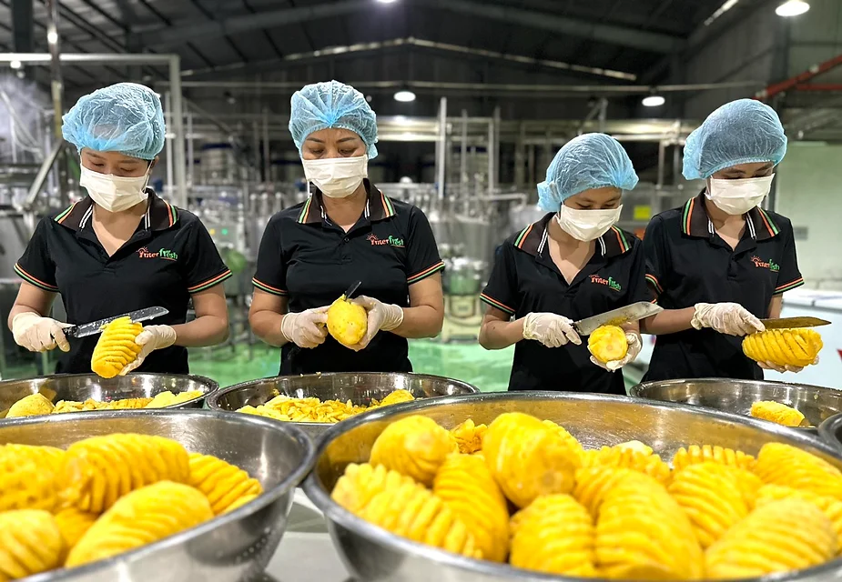 The Advantages of Partnering with a Vietnamese Beverage Manufacturer