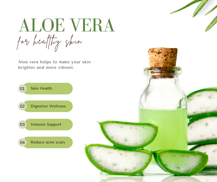 The Essence of Aloe Vera from Vietnam by Interfresh