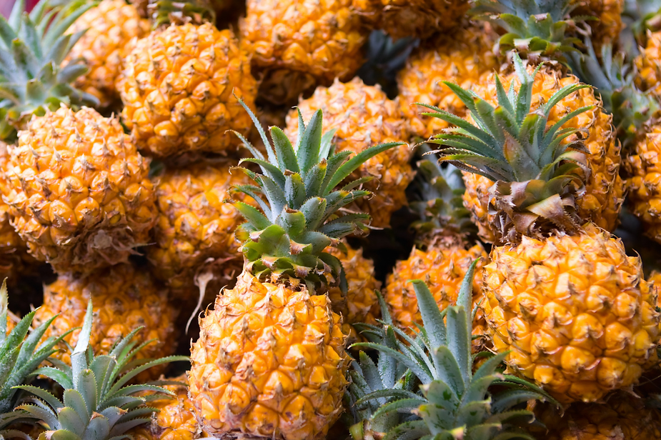 The Useful Applications of Pineapple in the Beverage Industry and Its Nutritional Benefits