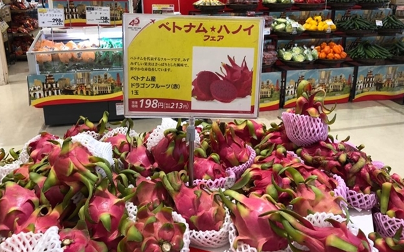 Vietnamese Dragon Fruit Vietnam's Exotic Treasure and Its Global Appeal