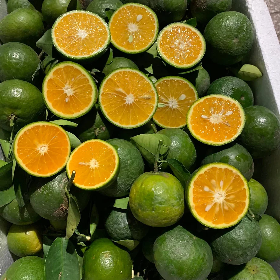 Vietnamese Oranges Varieties, Cuisine, Health Benefits, and Consumption Guidelines