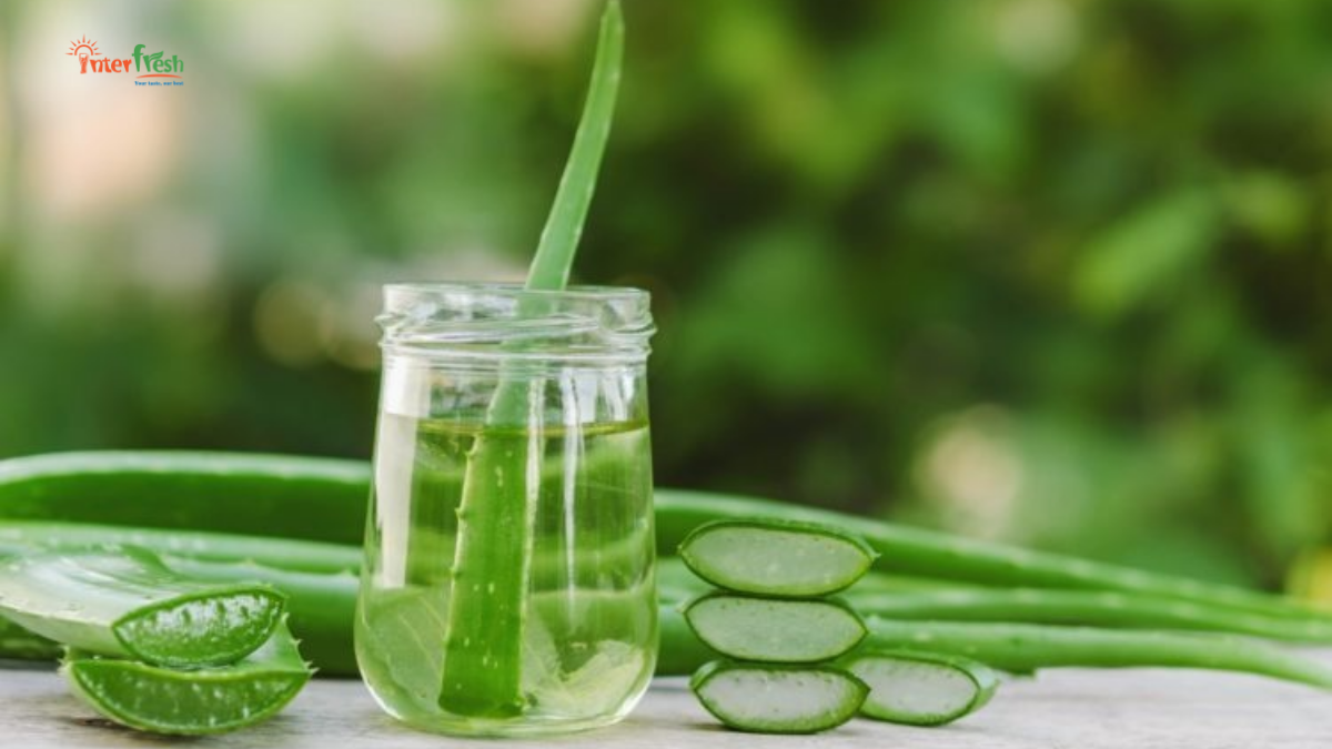 OEM Insights: Turning Aloe Vera Drinks into a Brand Advantage 