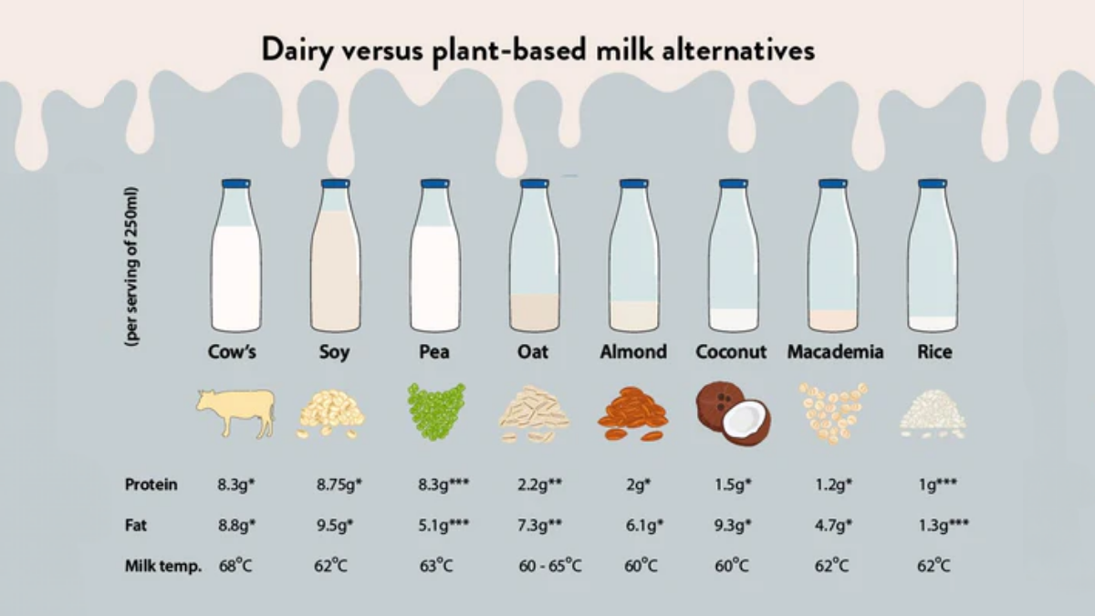 Milk vs Plant-Based Drinks: Key Comparisons 