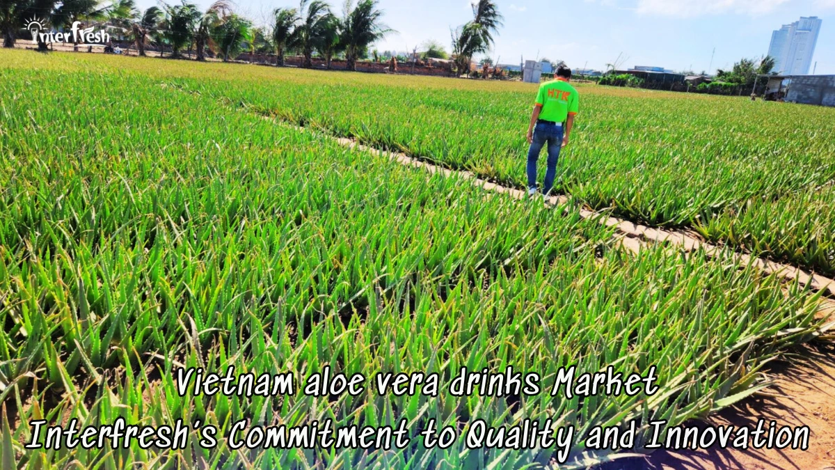 Vietnam aloe vera drinks Market: Interfresh’s Commitment to Quality and Innovation