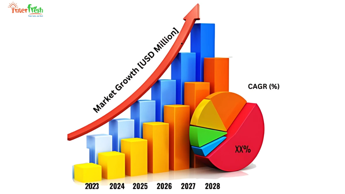 Sparkling Drink Market Trends and Opportunities