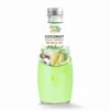 Jucy Jucy 290ml Melon Coconut Milk with Nata de Coco – B2B Private Label & Bulk Orders 10 Jucy Jucy 290ml Melon Coconut Milk with Nata de Coco