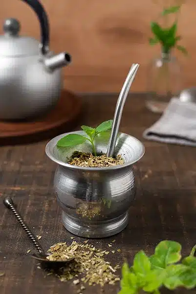 Yerba Mate