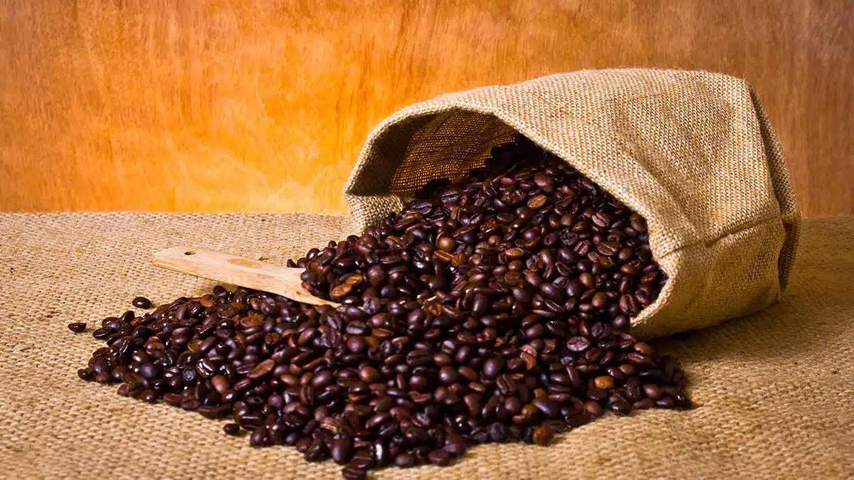 Ready to Drink Coffee Vietnam’s Edge & Strategic Insights for Distributors (2025–2030) 1 ready to drink coffee The Power of Vietnam Robusta