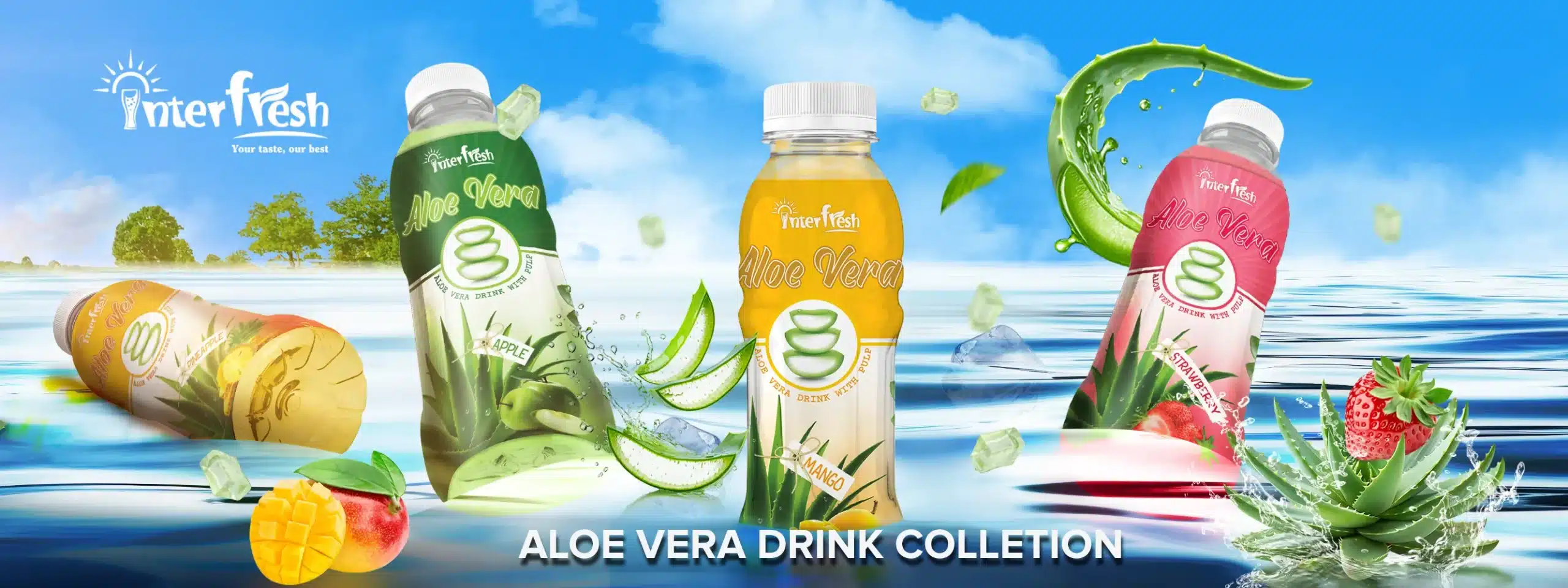banner aloe vera 1 copy scaled