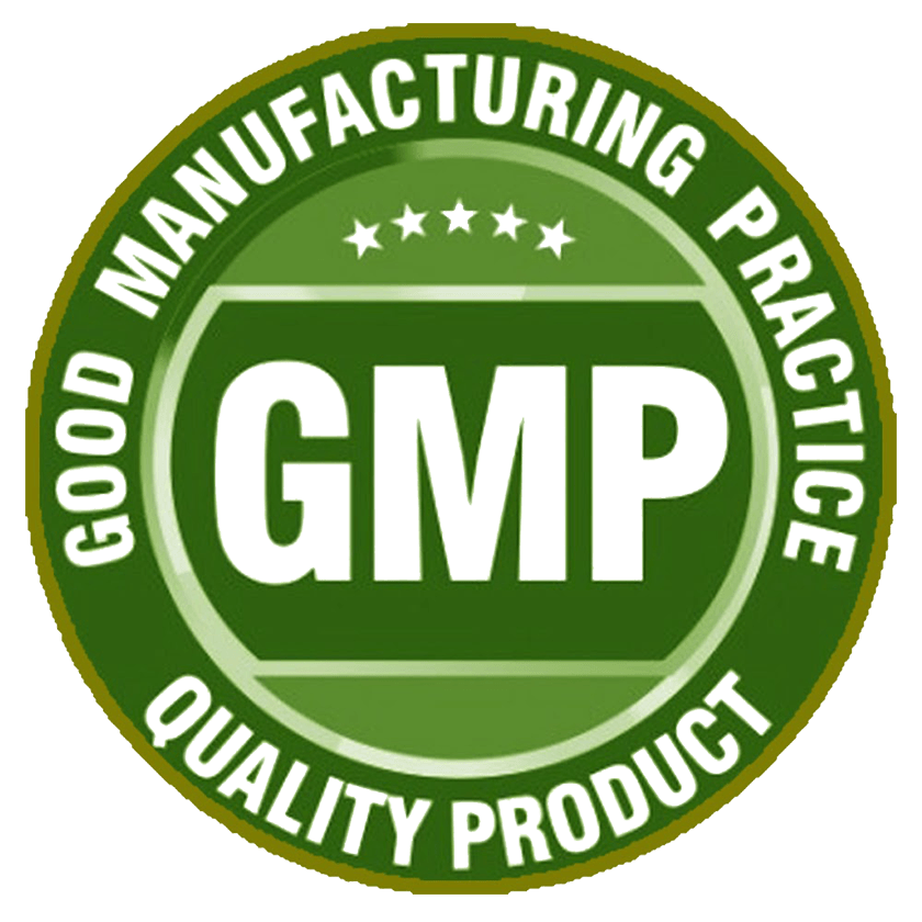 gmp final