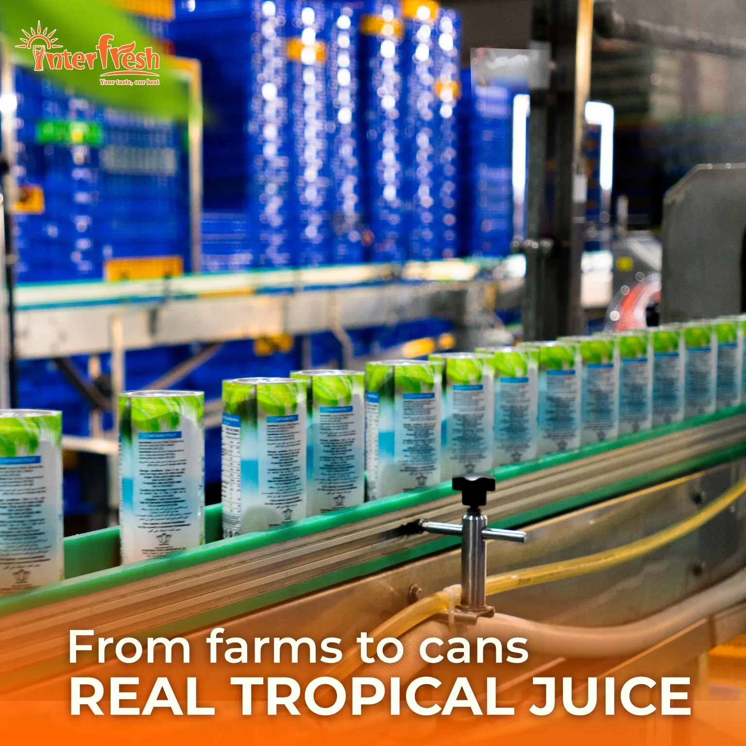 History of Interfresh Food and Beverage 5 Quality Control