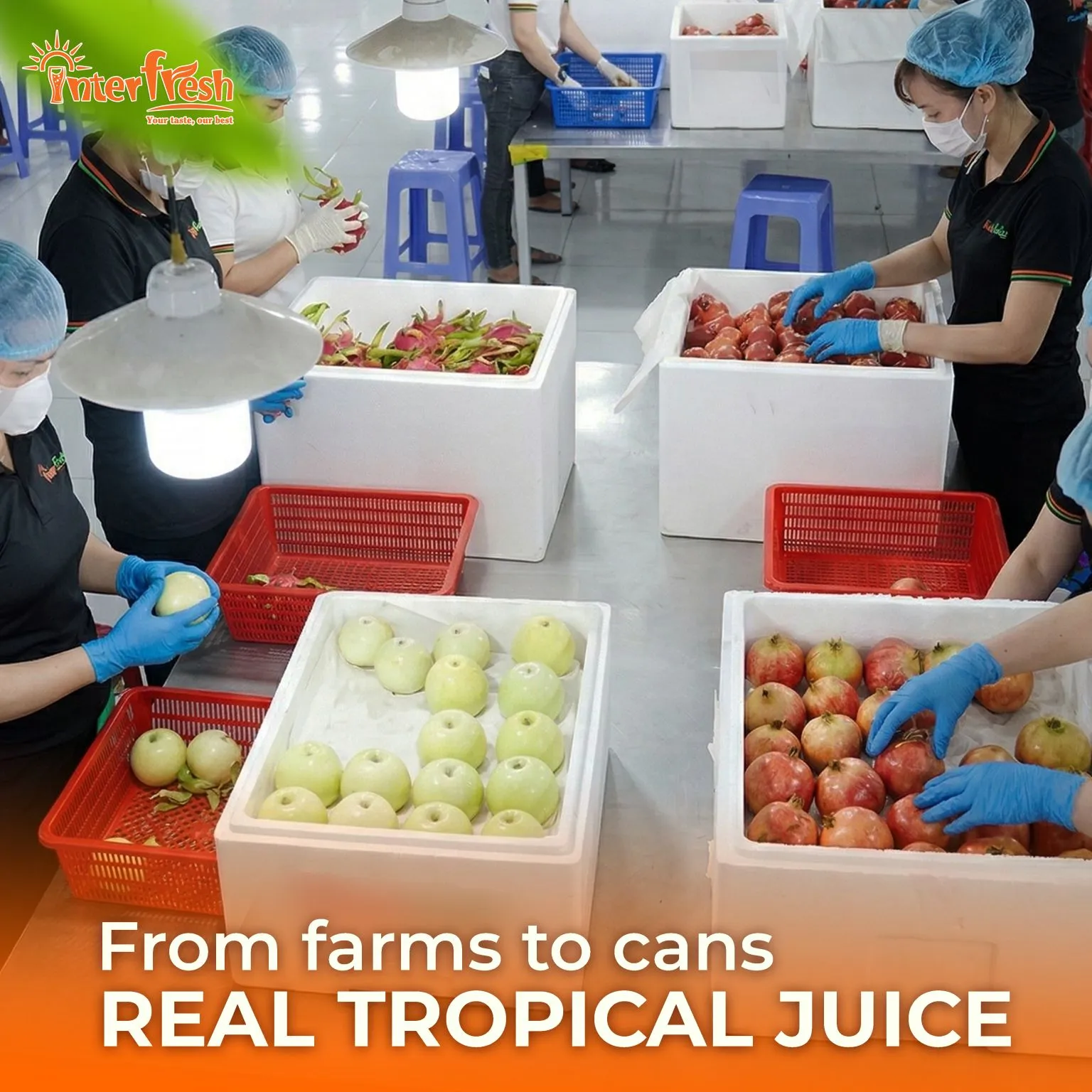 History of Interfresh Food and Beverage 3 Factory Main