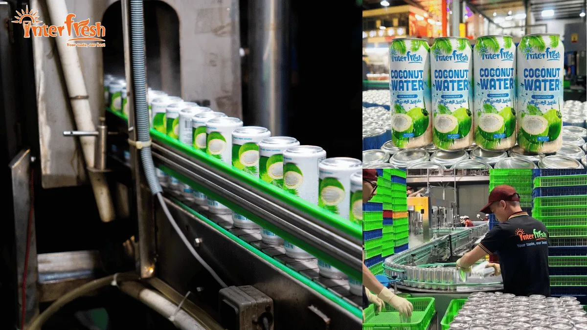 Modern coconut water manufacturing facility at Interfresh Vietnam with advanced production lines