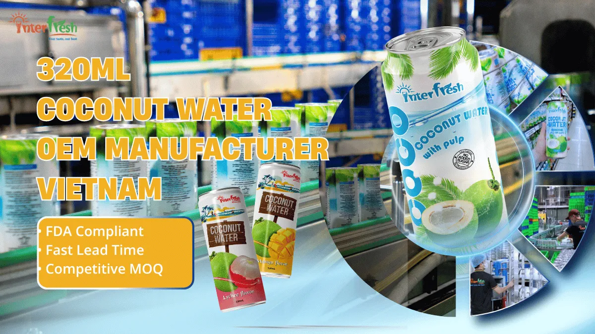 Coconut water 320ml can OEM manufacturer Vietnam private label aluminum cans