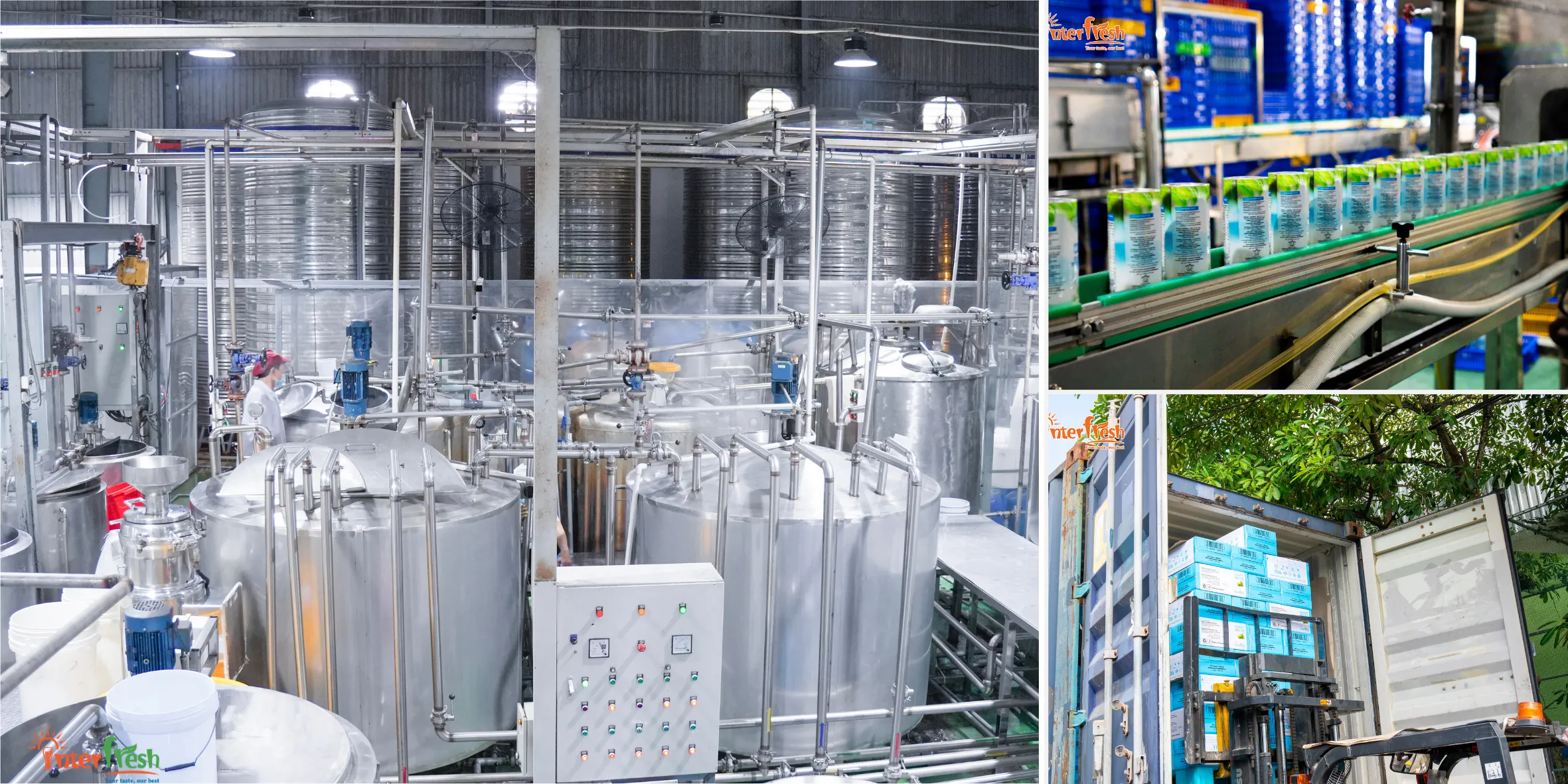 Coconut Water Supplier Australia, Bulk Wholesale Vietnam for Summer Peak Dec to Feb 2 High-speed production line at Interfresh factory preparing bulk coconut water for Australian summer peak - Coconut Water Supplier Australia