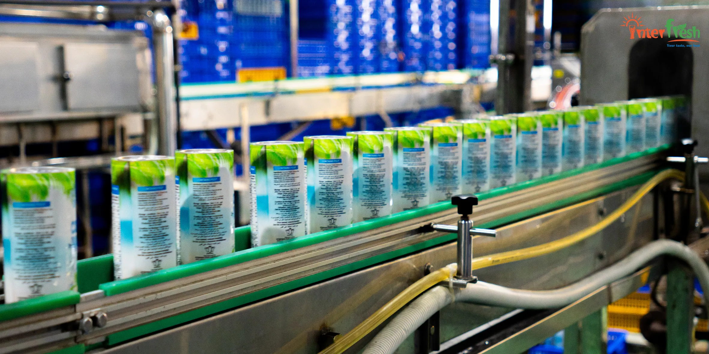Coconut Water 320ml Can OEM Manufacturer Vietnam: Private Label & Bulk Supplier for Global Markets 1 Modern aluminum can filling line for 320ml coconut water at Interfresh factory Vietnam