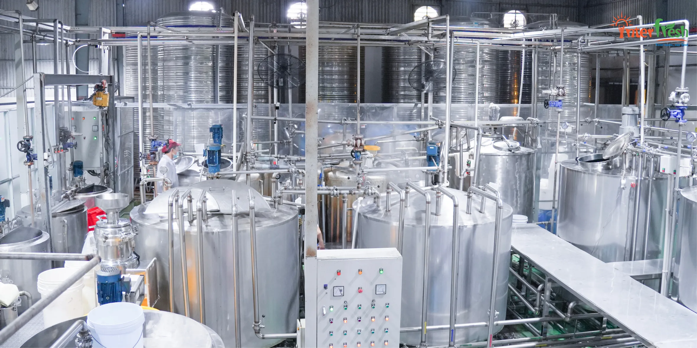 High-speed production line at Interfresh factory