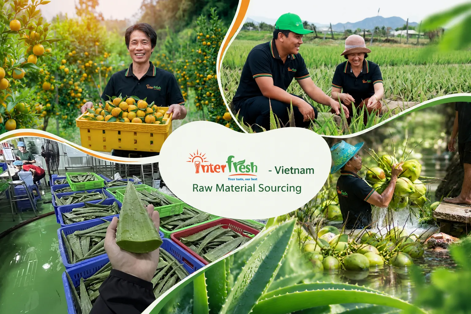 Vietnam vs China OEM Beverage 2026: Full Comparison on Cost, Quality, MOQ and Certification 2 Tropical raw materials for OEM beverage manufacturer Vietnam