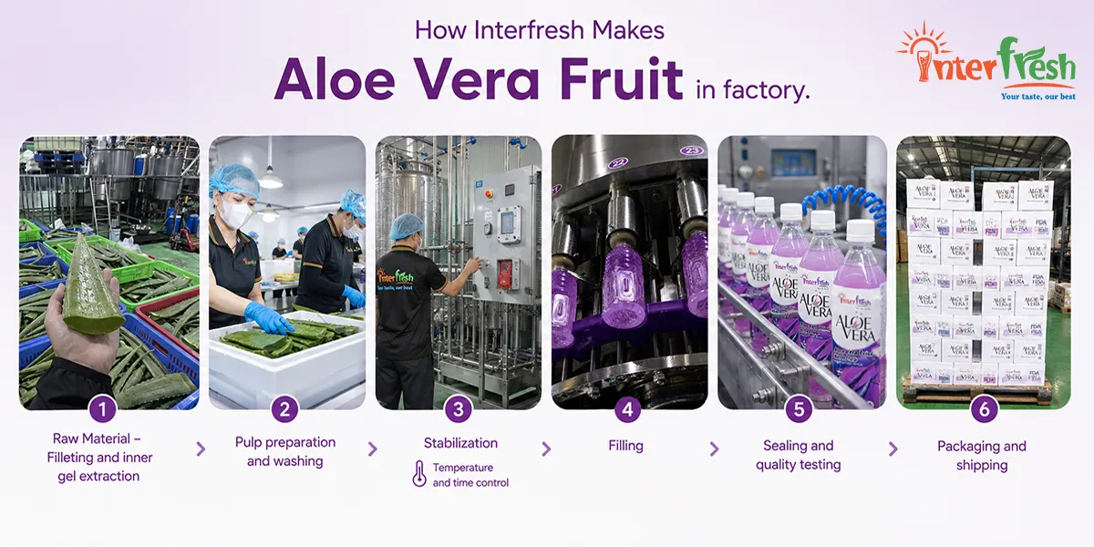 How Interfresh makes aloe vera drink export from leaf to bottle