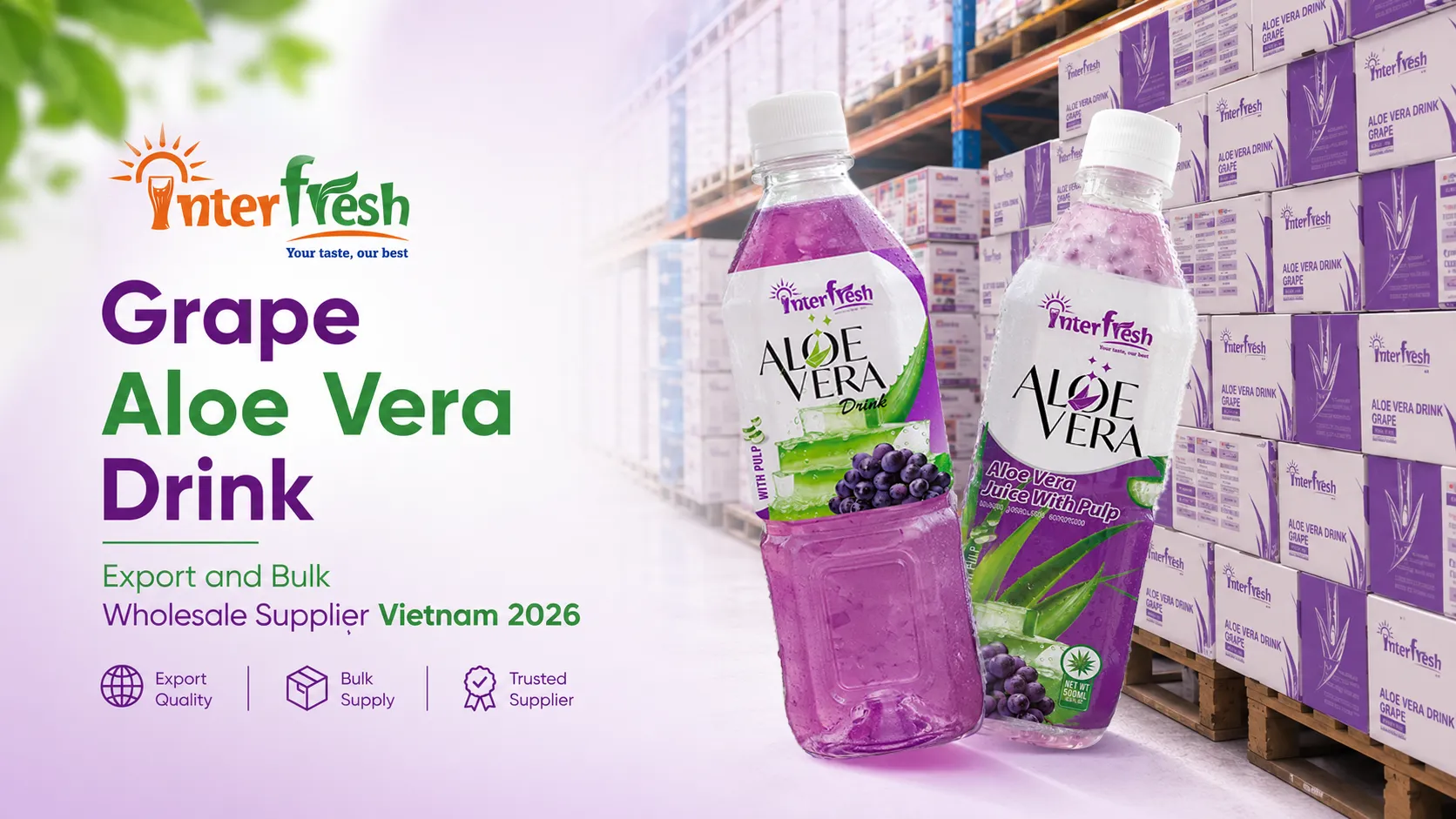 Interfresh Grape aloe vera drink 500ml PET bottle for bulk export Vietnam.