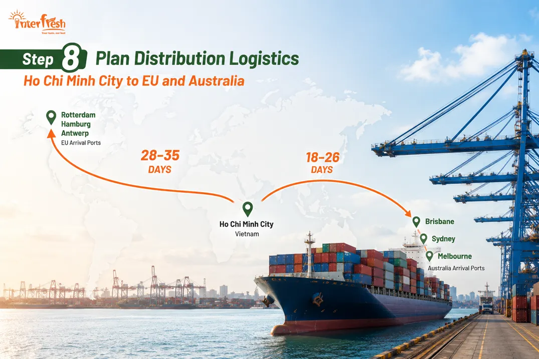 Shipping route from Ho Chi Minh City to EU and Australia ports