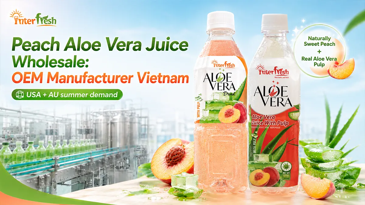 Peach aloe vera juice wholesale bottles ready for export from Vietnam