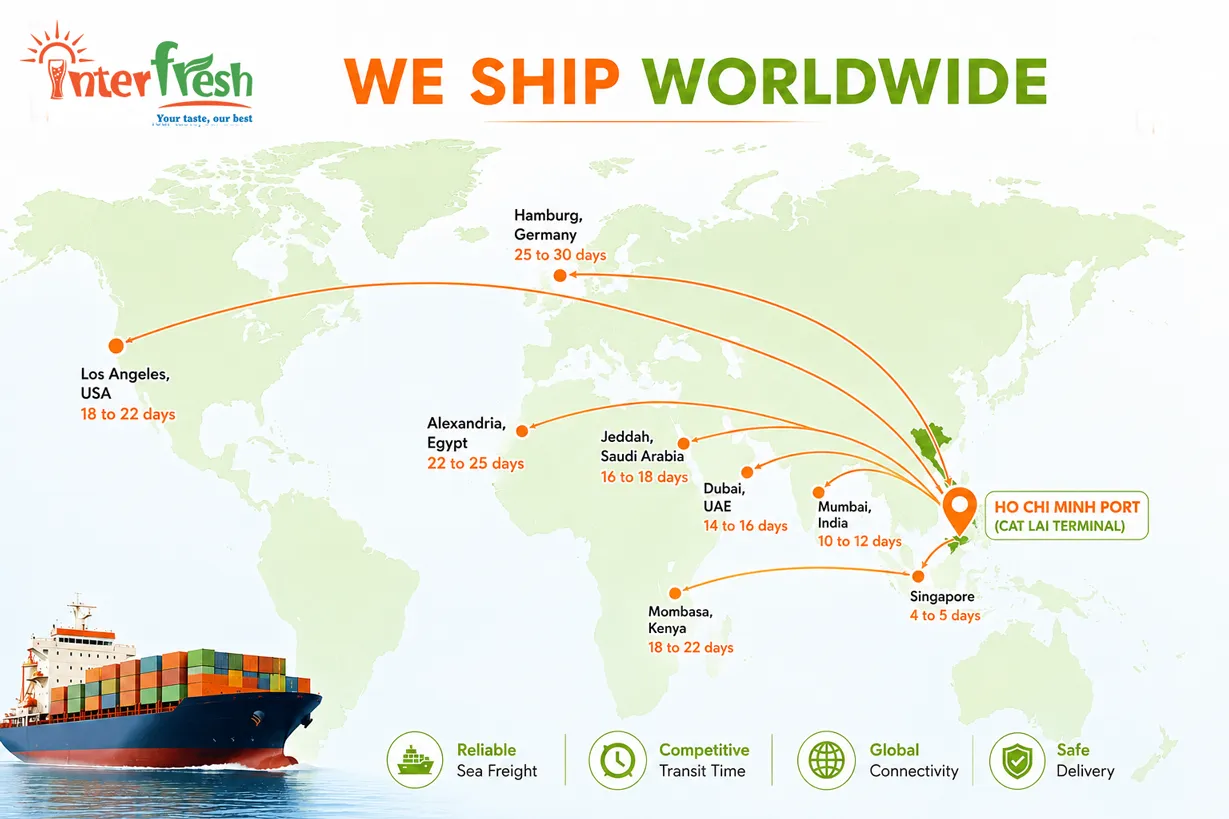 Sea freight transit times from Ho Chi Minh Port Vietnam to USA, EU, MEA, India, and Africa for wholesale fruit juice bulk shipments
